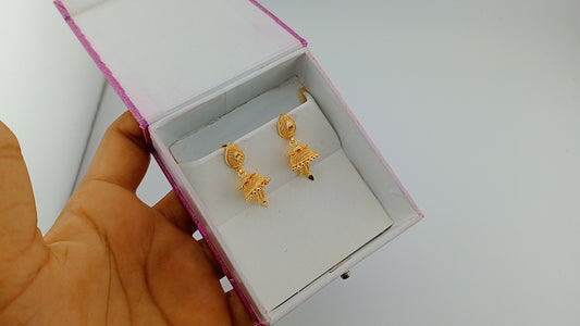 Small earrings